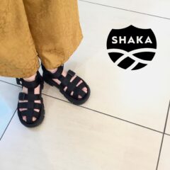 『SHAKA』入荷しました！！　